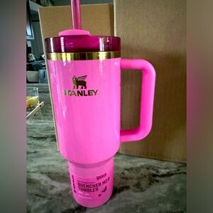 Brand New Wicked Pink Stanley! Glinda